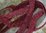 B1257a - Superb 3 M Length Antique French  Silk Serpentine Passementerie, Braid, Trim