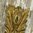 B1407 - Stunning SET 6 Antique French Gilded Metal Decorative Embellishments / Mounts