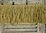 B1577 - 1.6 M Fantastic Antique French Pom Pom & Fringe Passementerie / Braid / Trim
